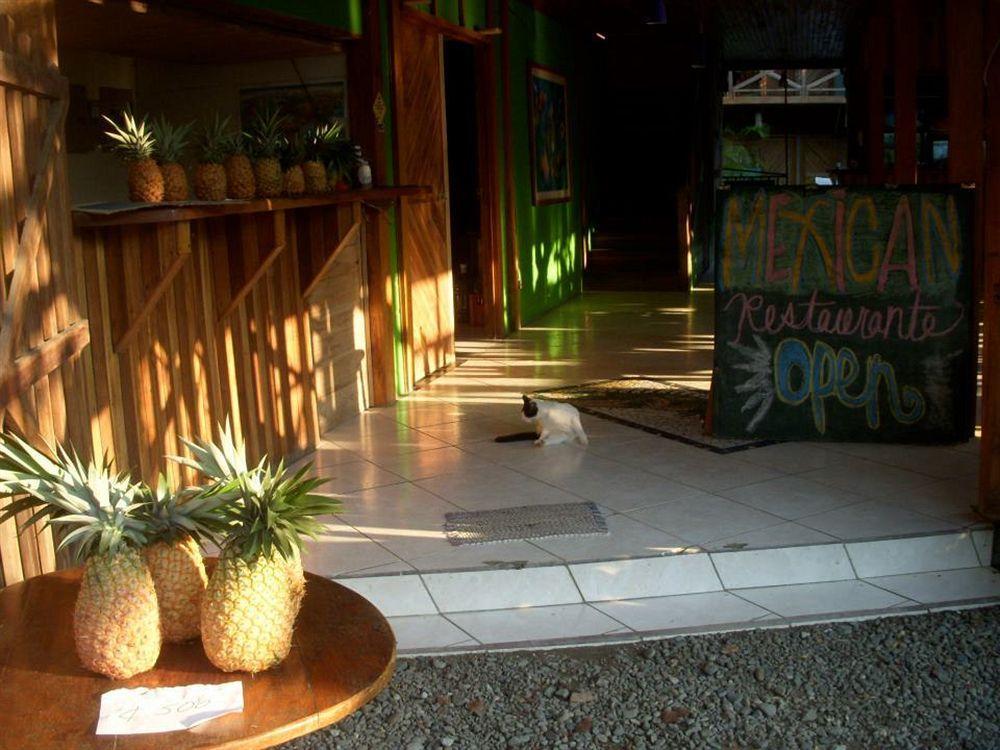 Lizard King Hotel & Suites Puerto Viejo de Talamanca Exterior foto